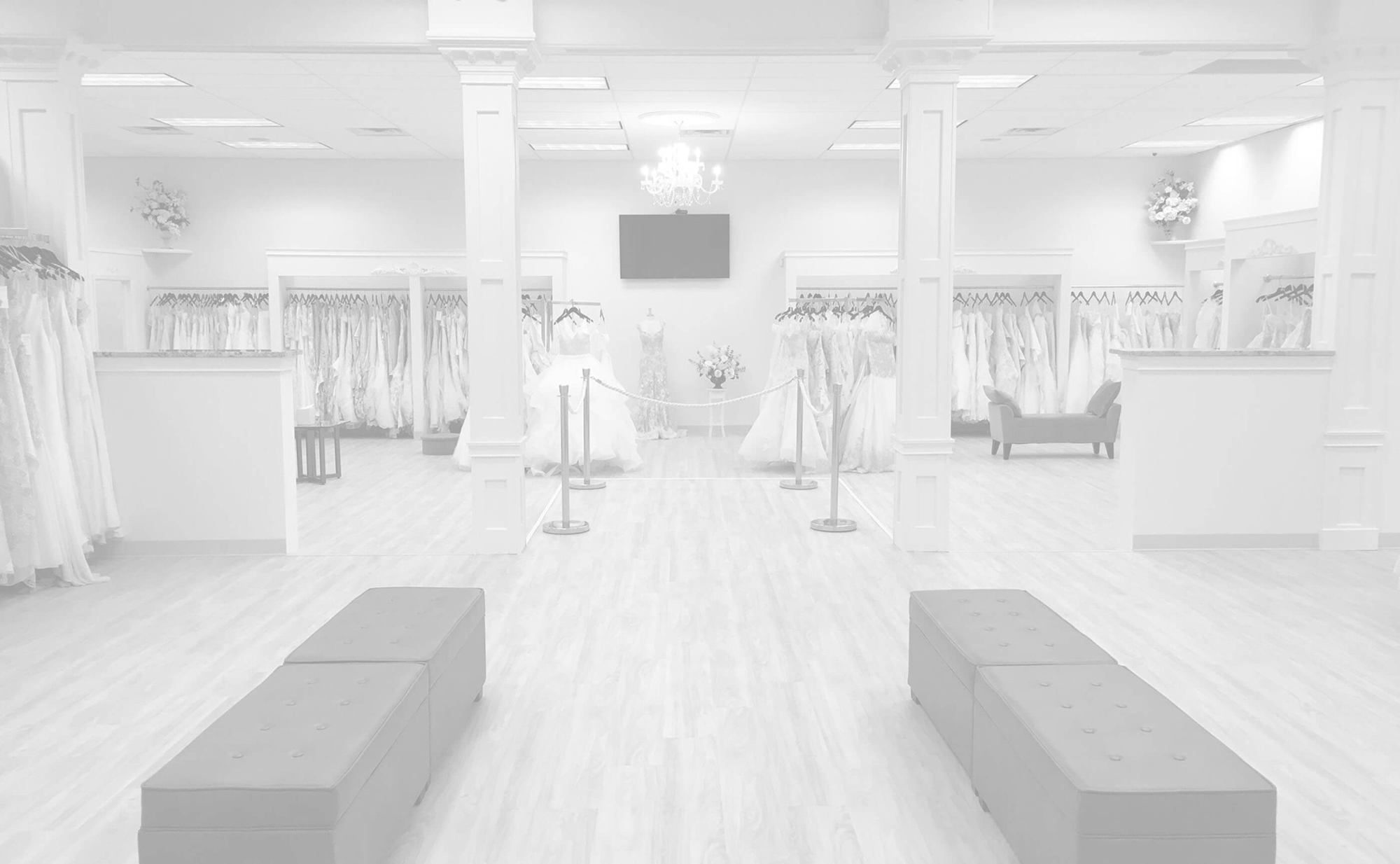 Photo of the showroom interior - Desktop Image