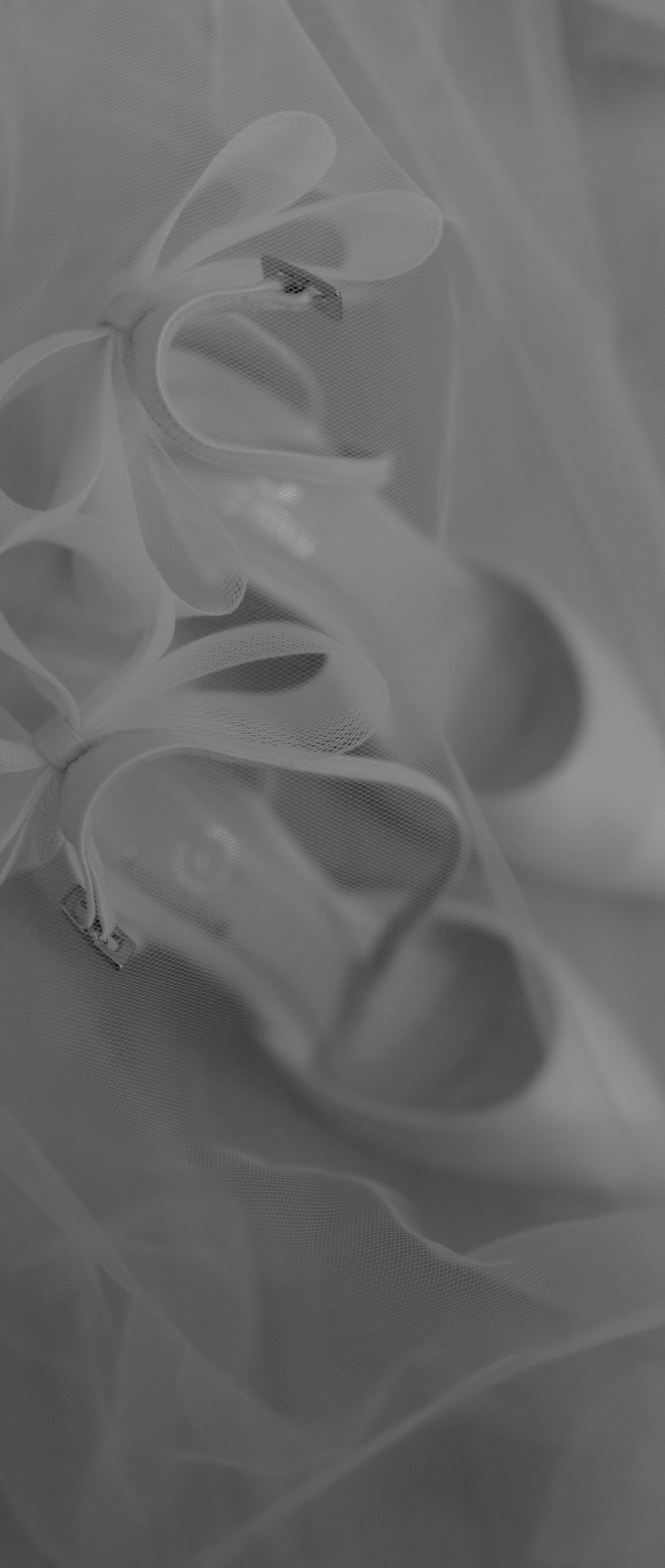 Photo of the showroom interior - Mobile Image