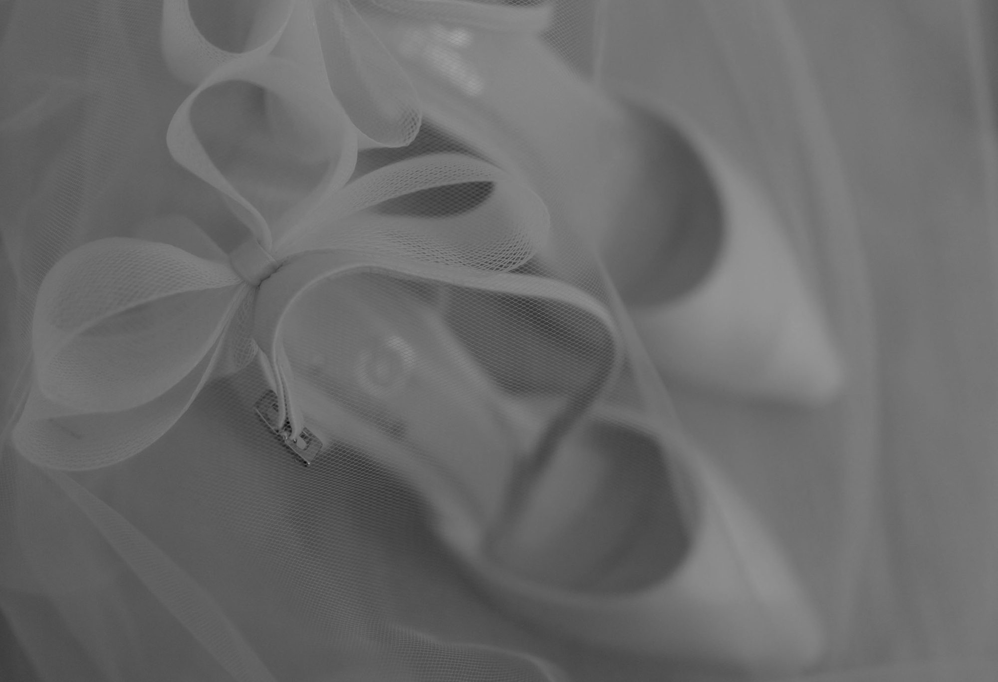 Photo of the showroom interior - Desktop Image