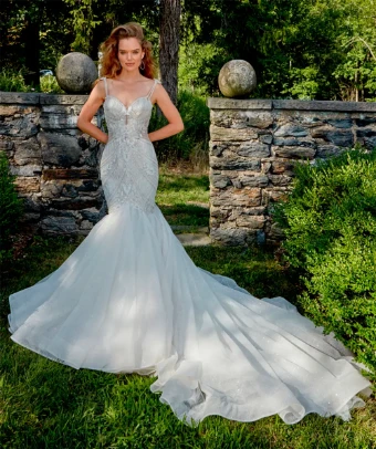 Amalia Carrara 374 #0 thumbnail