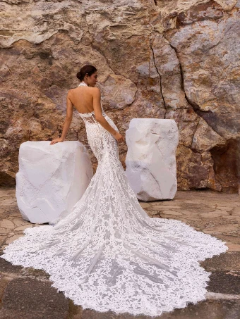 Pronovias Wonia #1 thumbnail
